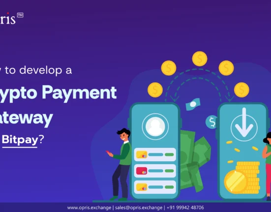 crypto-payment-gateway-like-bitpay