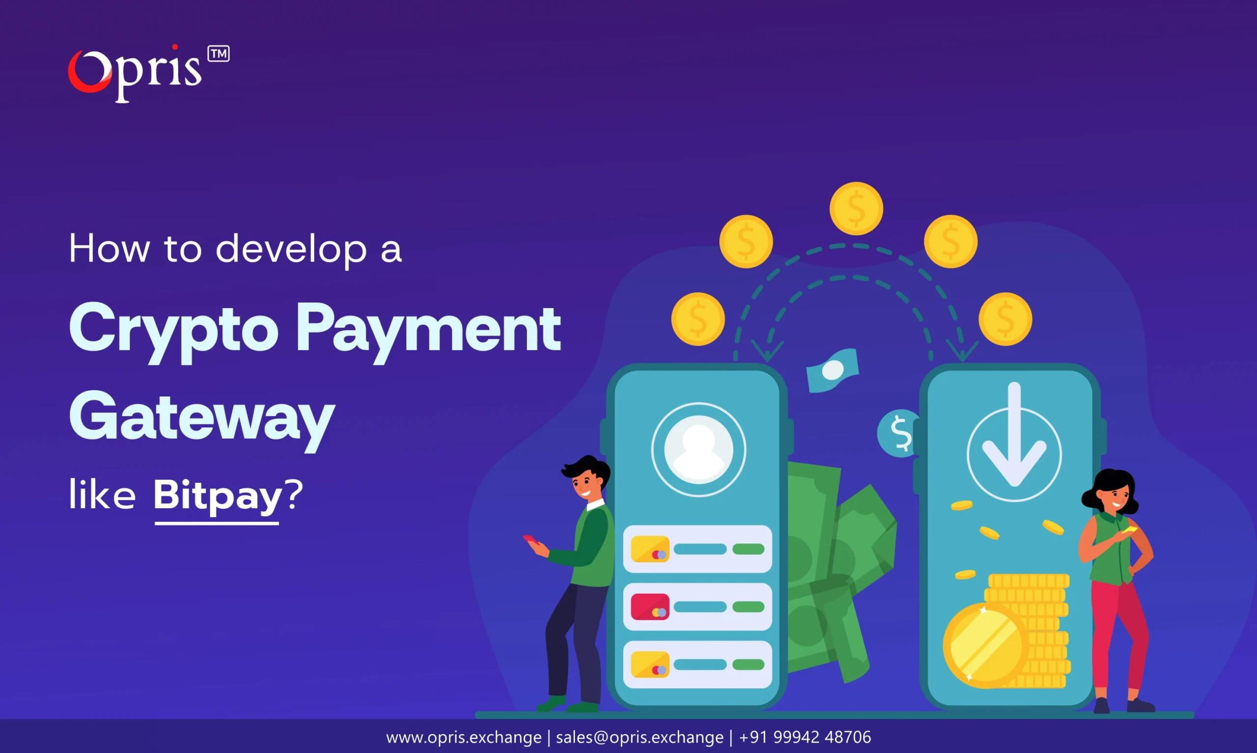 crypto-payment-gateway-like-bitpay