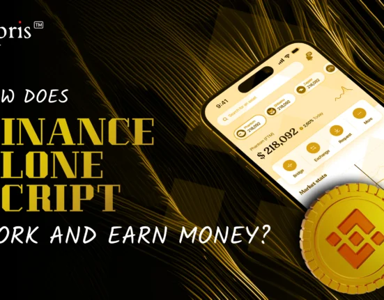 how does binance clone work and earn money