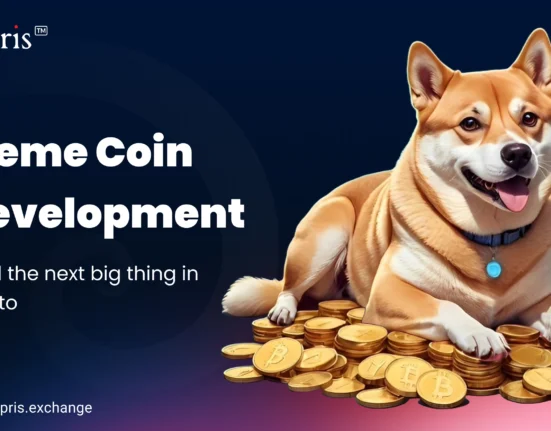 Meme Coin Development Company