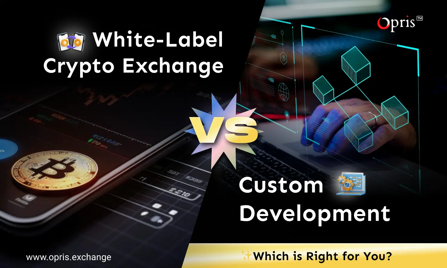 whitelabel crypto exchange vs custom development