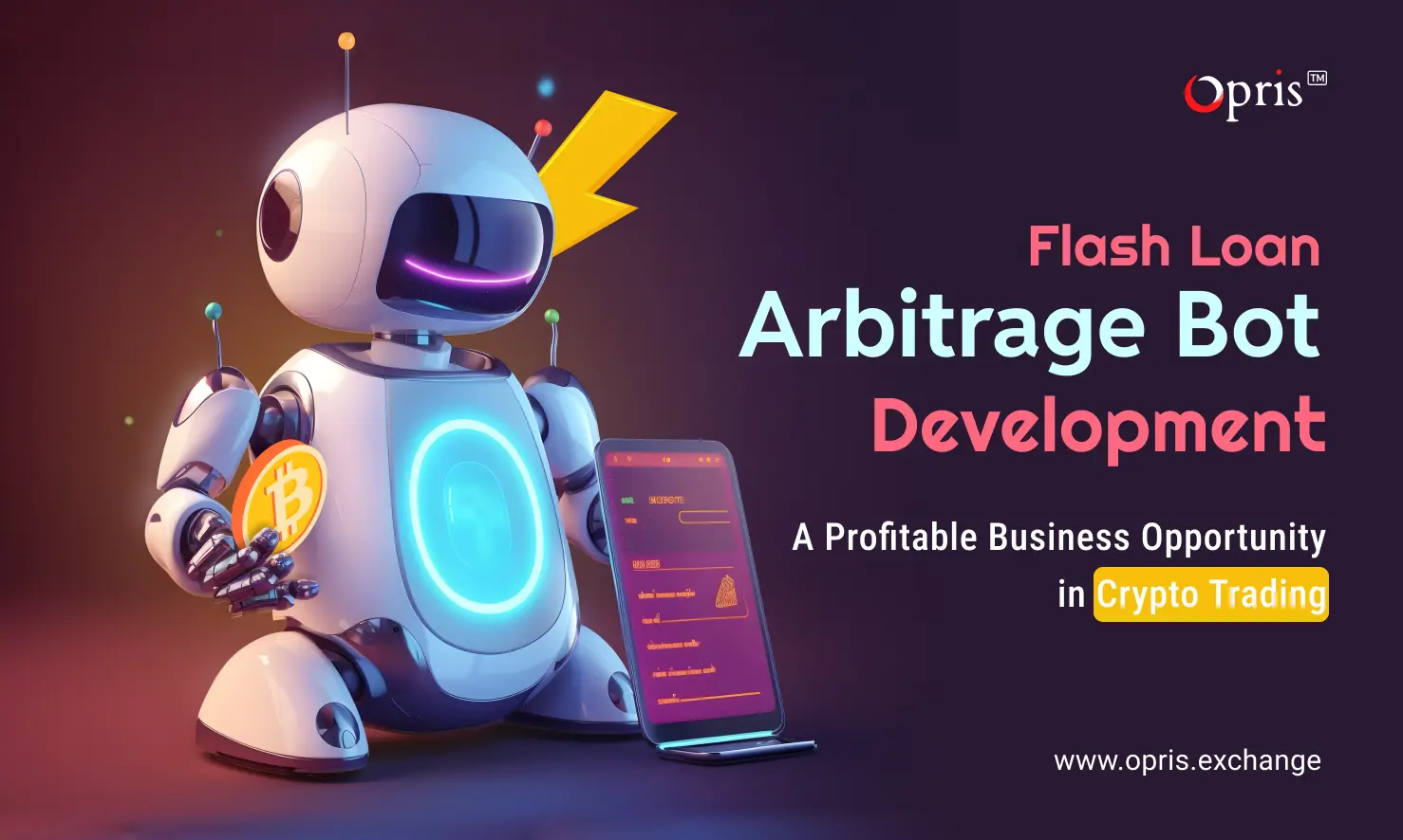 flash loan arbitrage bot development