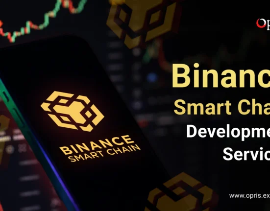 Binance Smart Chain Development Company